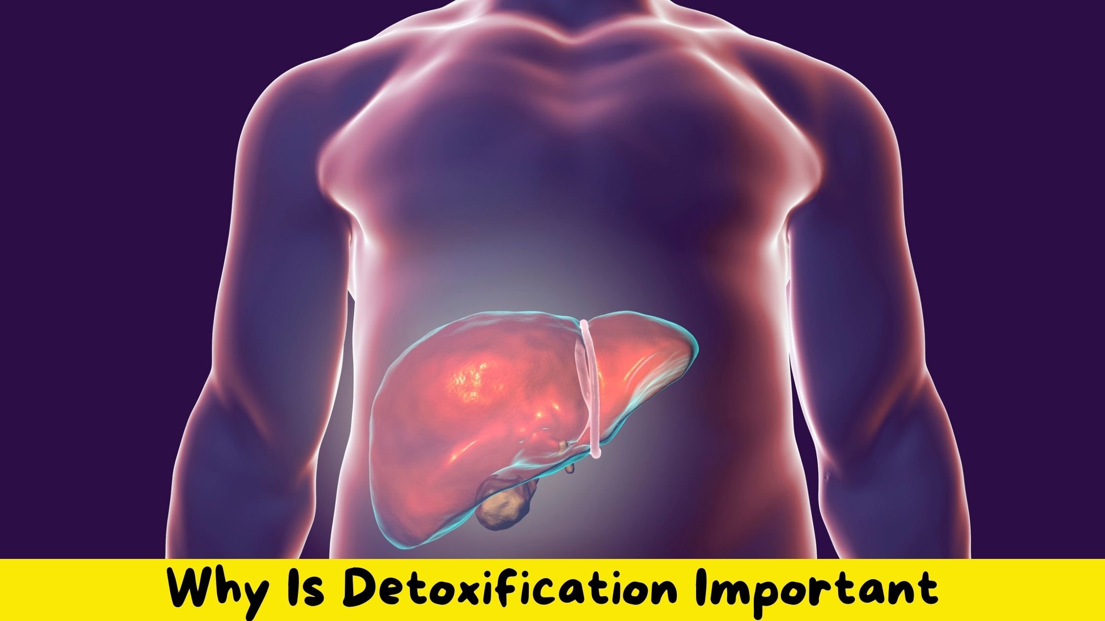 Detoxification: Why is detoxification important