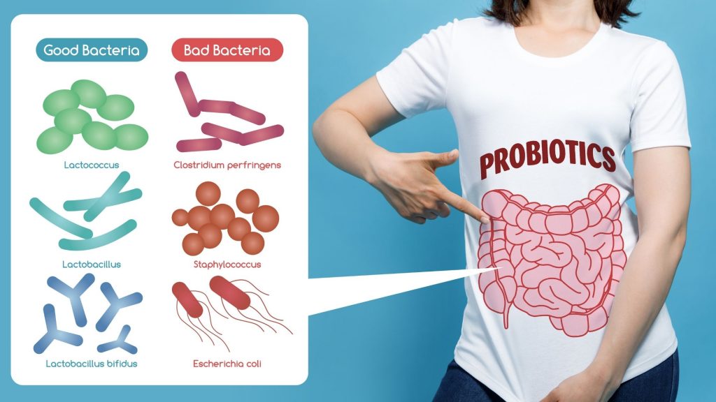Probiotics: Improve Your Gut Health & Say Goodbye To An Upset Stomach.