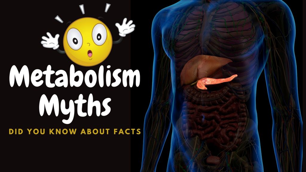 8 Metabolism Myths: Did You Know About Facts?
